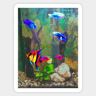 Aquarium Sticker